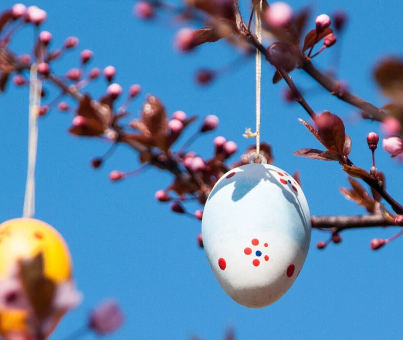 Painted Easter eggs on a flowering branch against a blue sky.